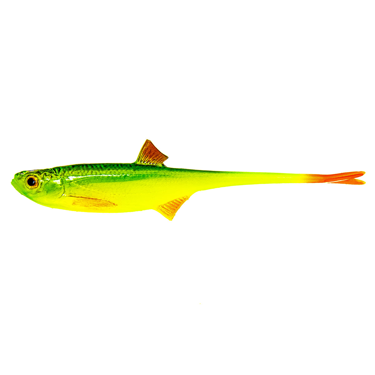 ANGRY LURES Bleak V-Tail cm. 12,5 GYO