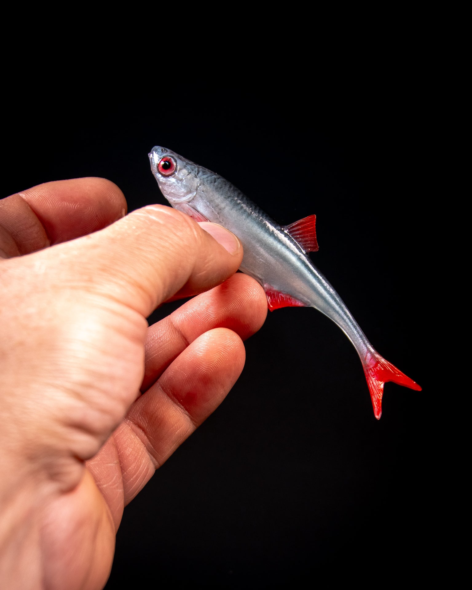 ANGRY LURES Bleak F-Tail cm. 10 NBR