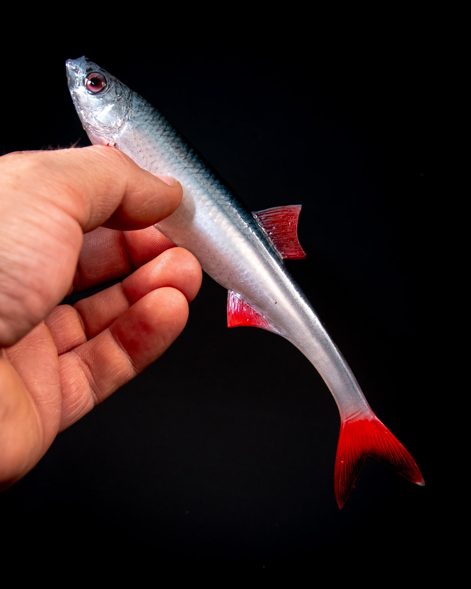 ANGRY LURES Bleak F-Tail cm. 17 NBR