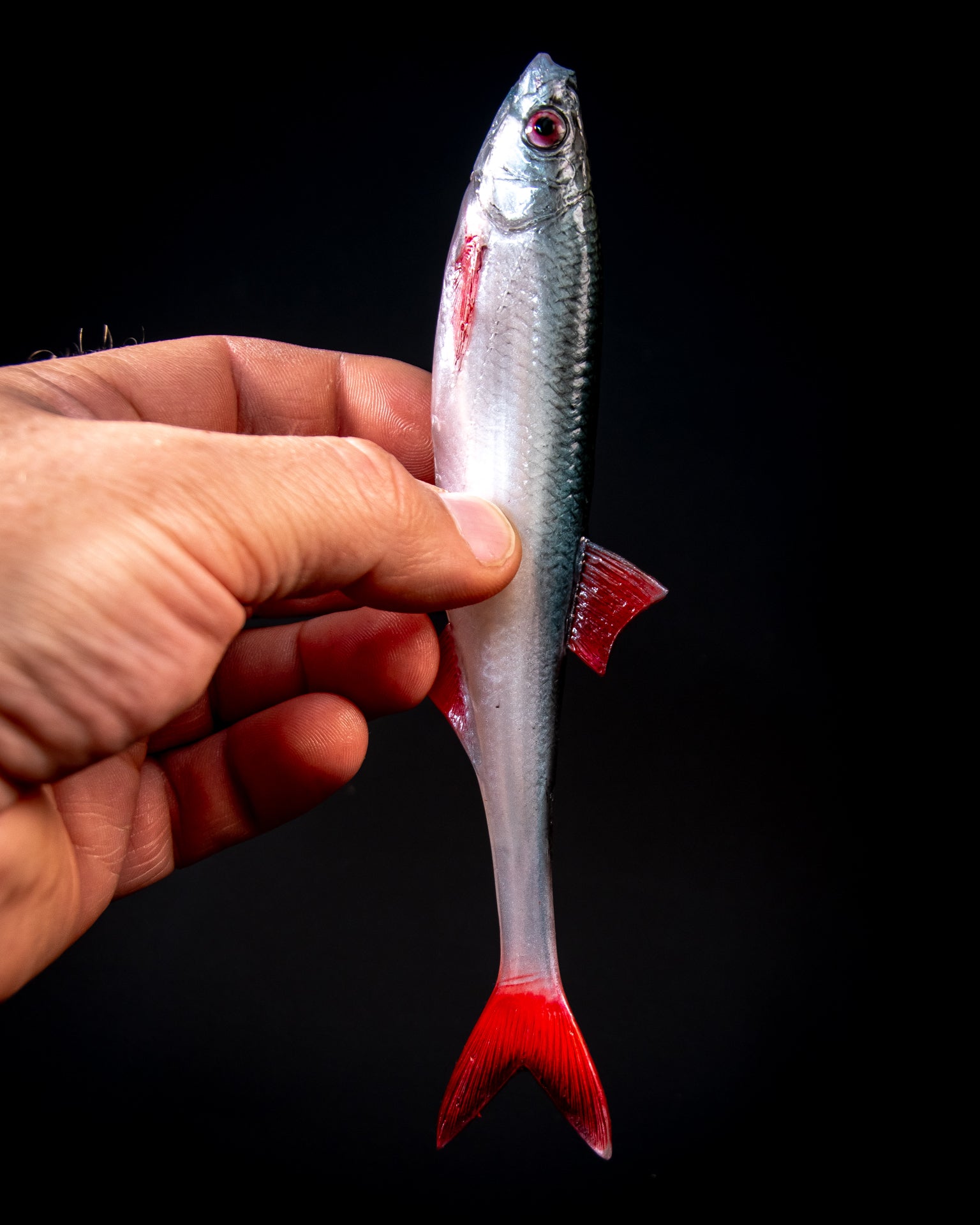 ANGRY LURES Bleak F-Tail cm. 17 NBR