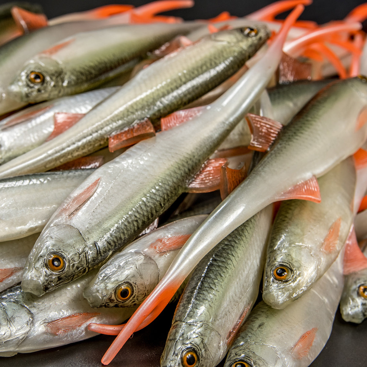 ANGRY LURES ANGRY Bleak V-Tail cm. 20 NOO