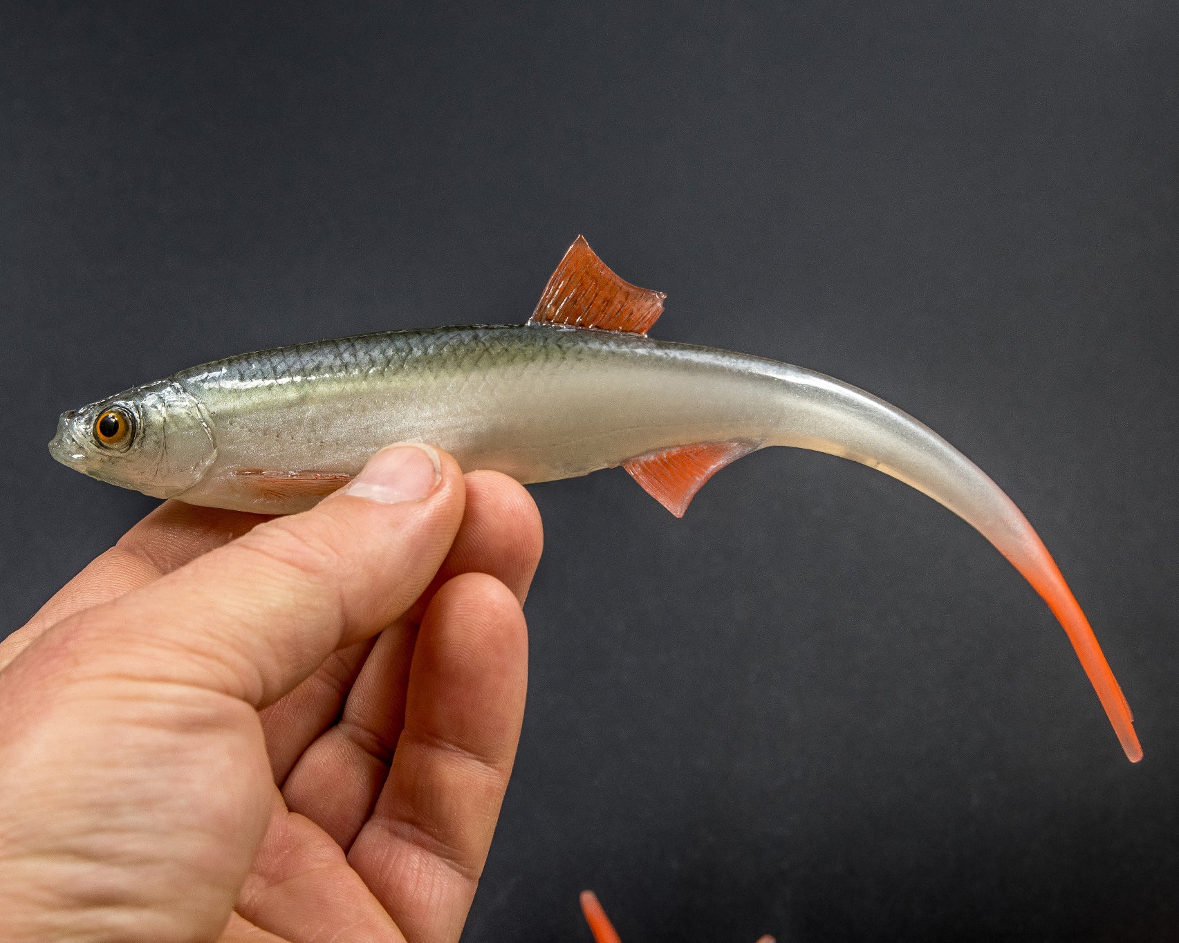 ANGRY LURES ANGRY Bleak V-Tail cm. 20 NOO