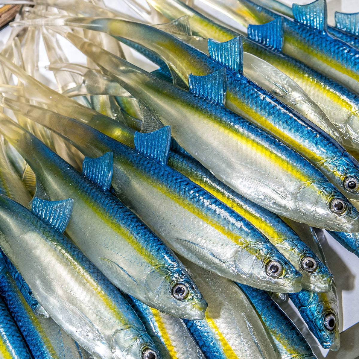 ANGRY LURES Bleak V-Tail cm. 20 TBY