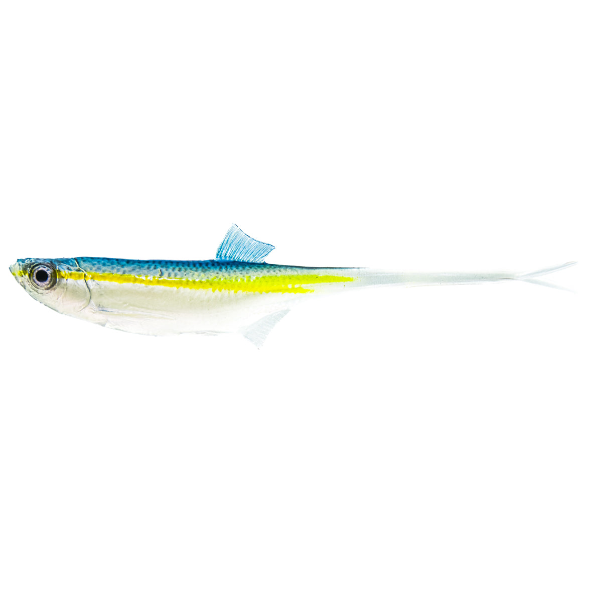 ANGRY LURES Bleak V-Tail cm. 15 TBY
