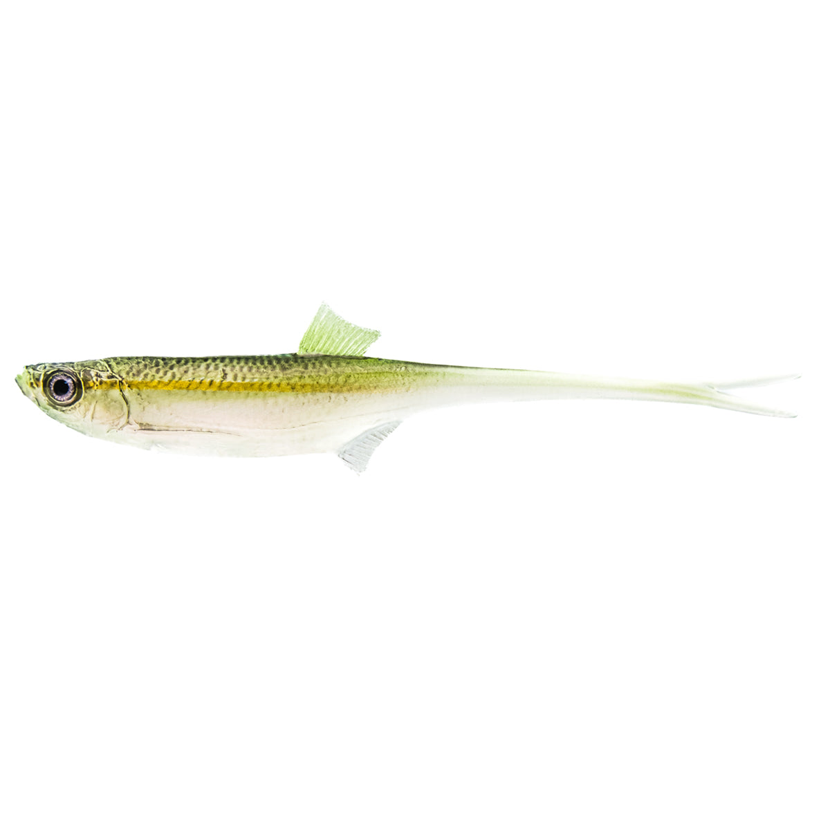 ANGRY LURES Bleak V-Tail cm. 15 WGY