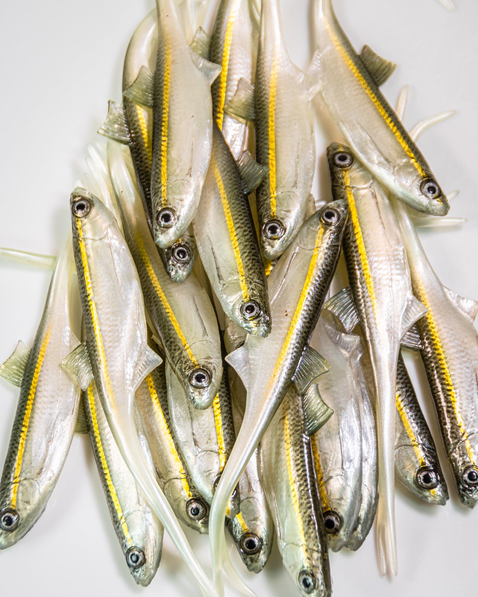 ANGRY LURES Bleak V-Tail cm. 15 WGY