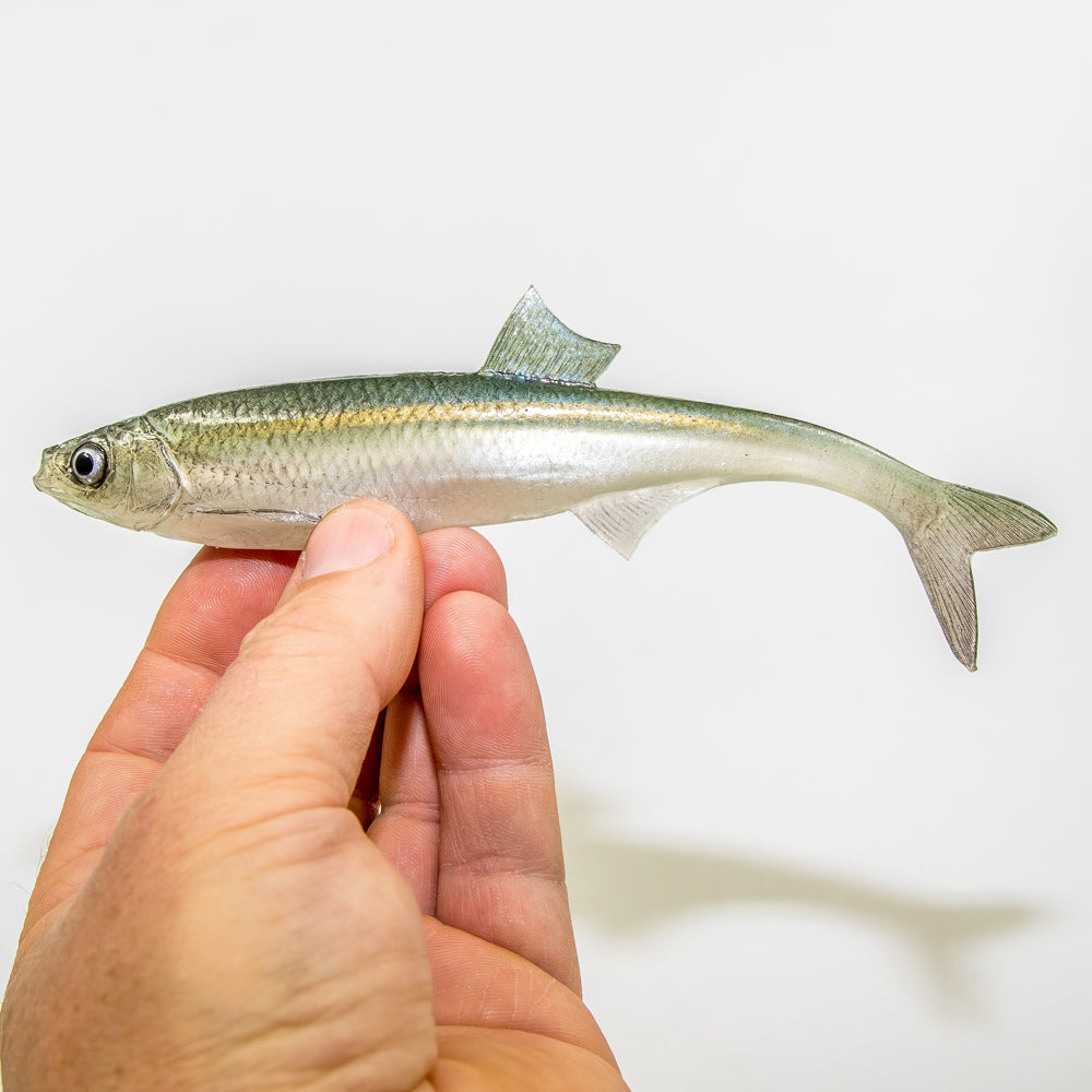 ANGRY LURES Bleak F-Tail cm. 17 WGY