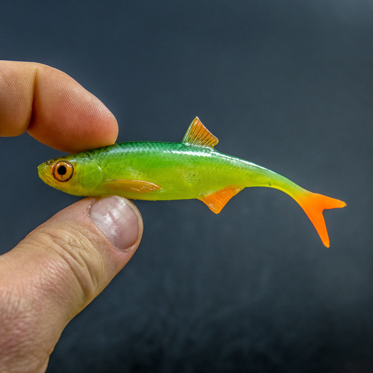 ANGRY LURES Bleak F-Tail cm. 10 GYO