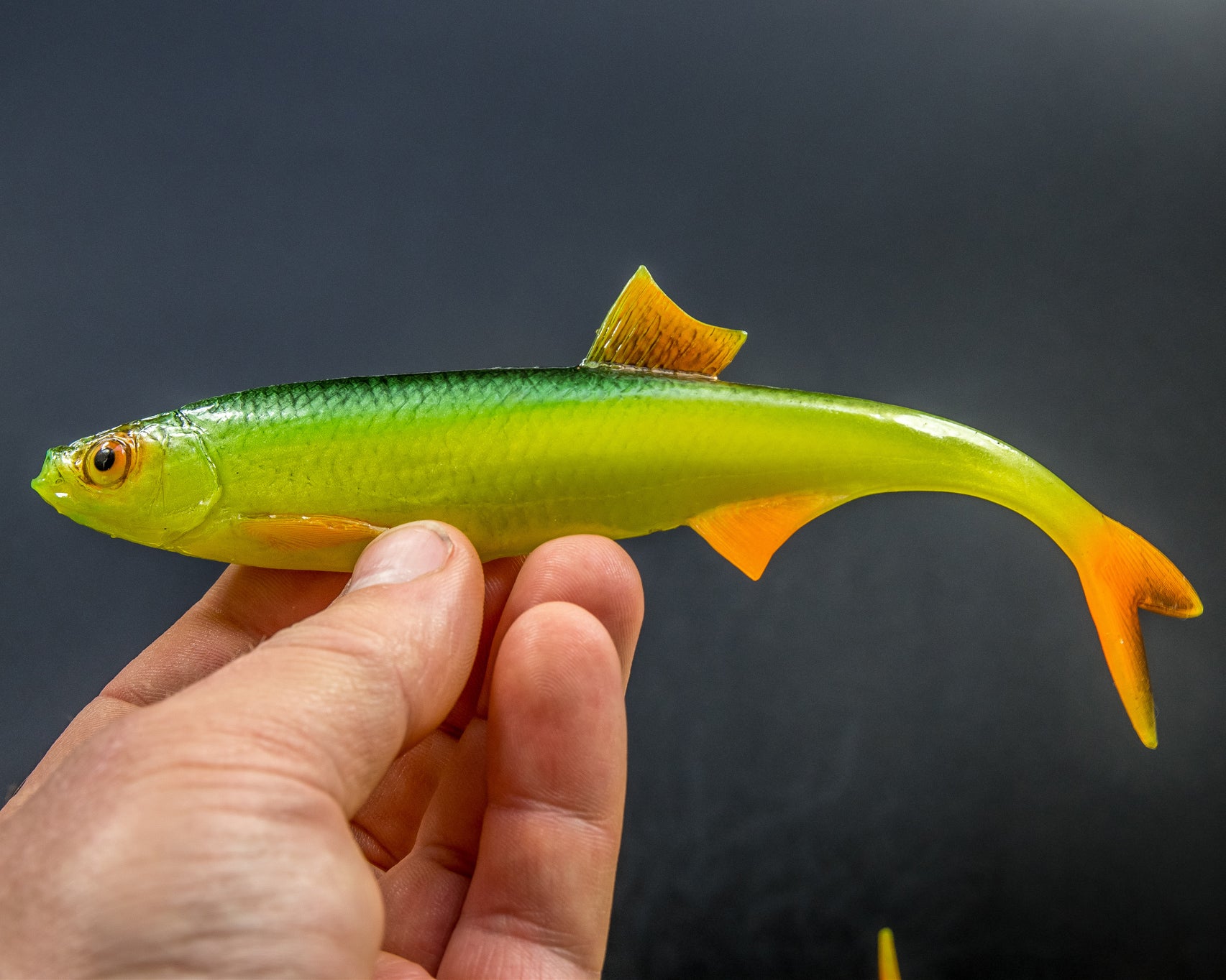 ANGRY LURES Bleak F-Tail cm. 17 GYO