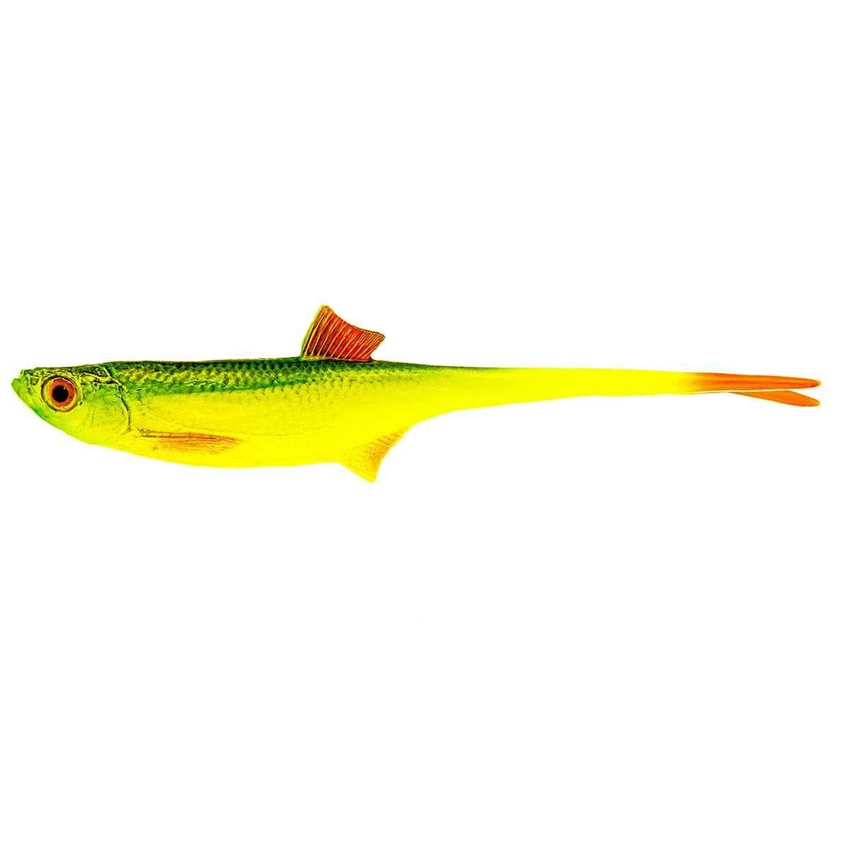ANGRY LURES Bleak V-Tail cm. 15 GYO