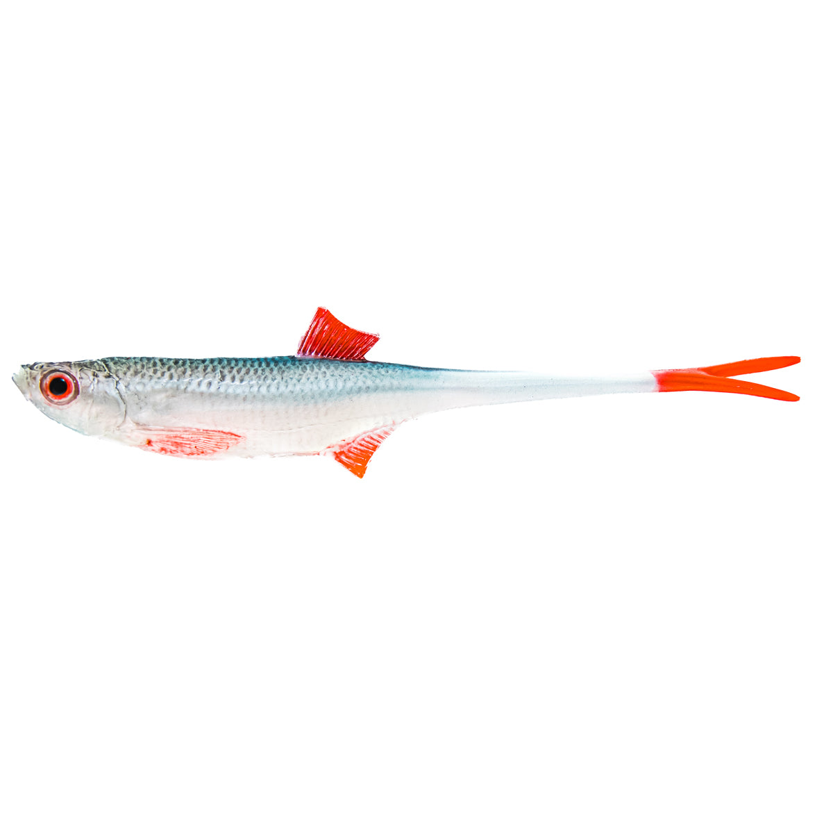 ANGRY LURES Bleak V-Tail cm. 15 NBR