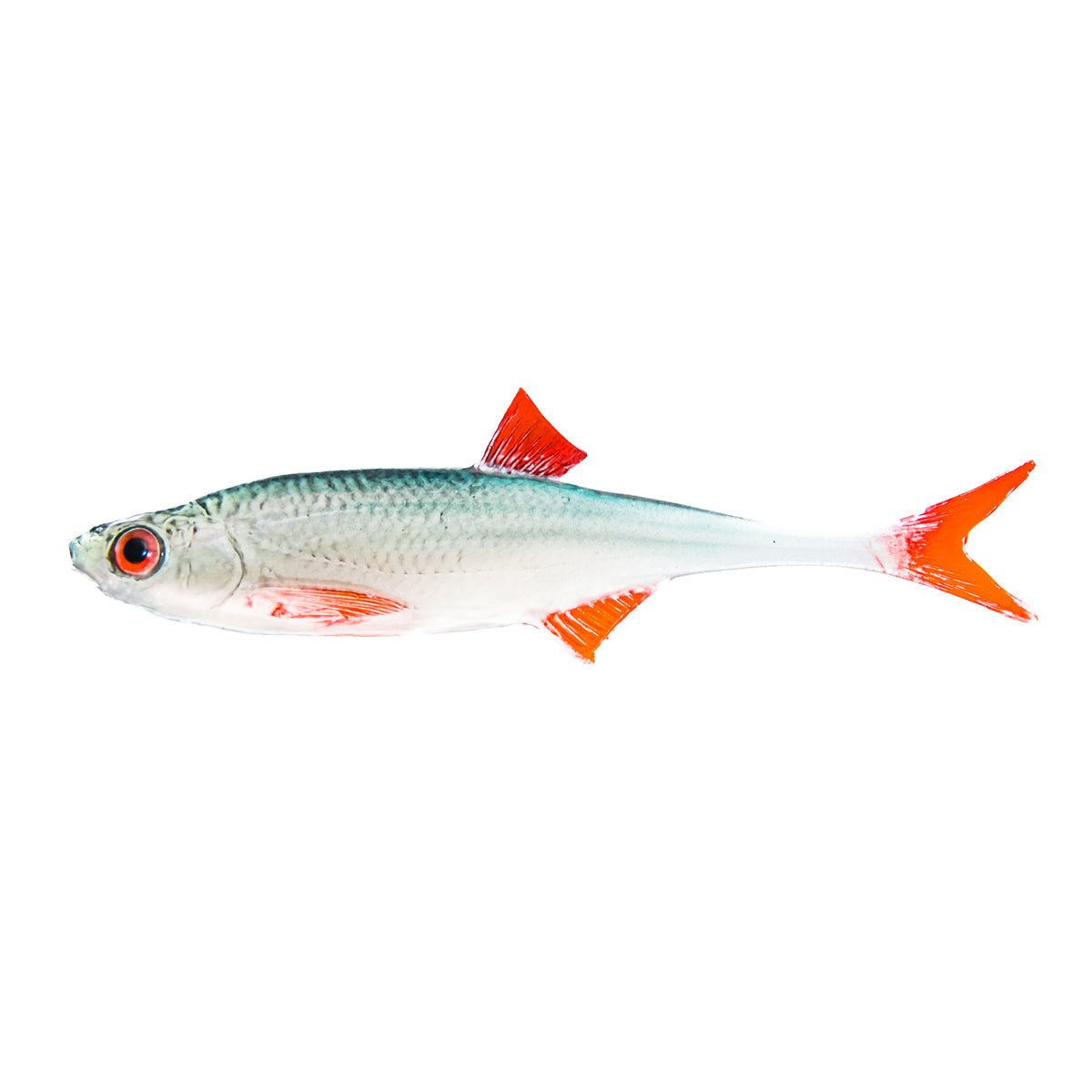 ANGRY LURES Bleak F-Tail cm.15 NBR