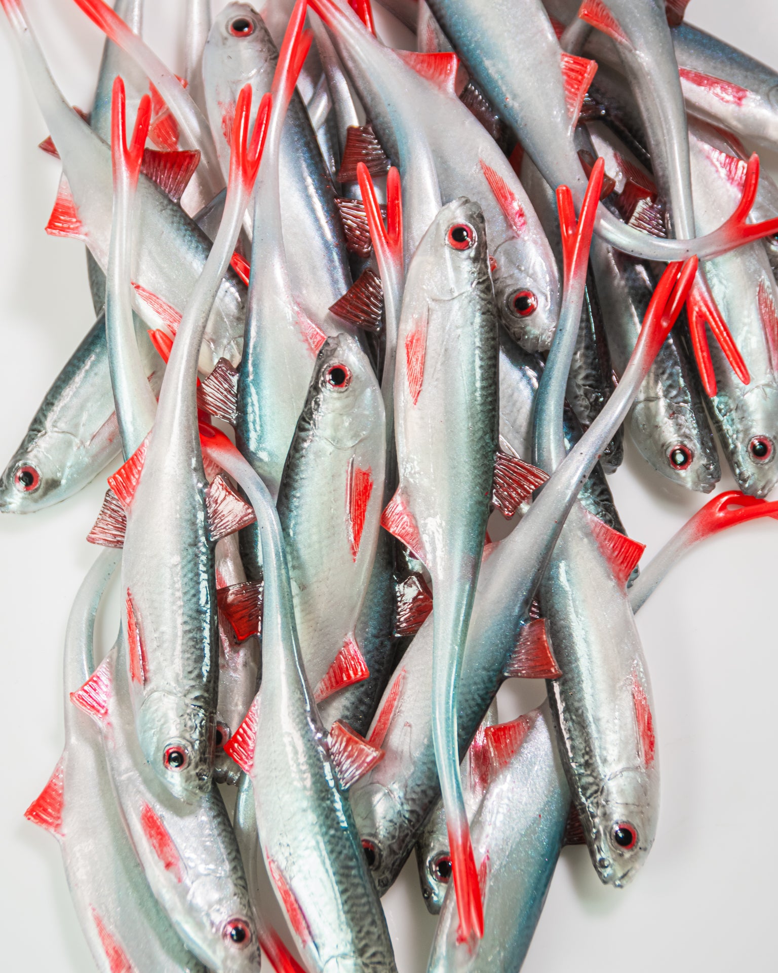 ANGRY LURES Bleak V-Tail cm. 17 NBR