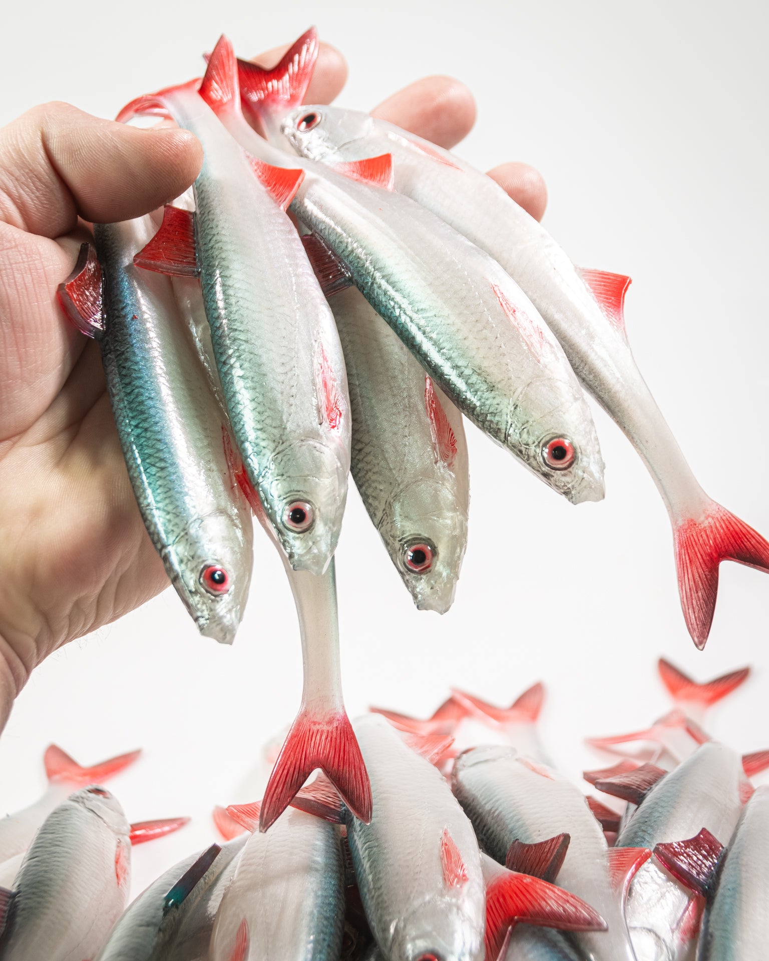 ANGRY LURES Bleak F-Tail cm. 17 NBR