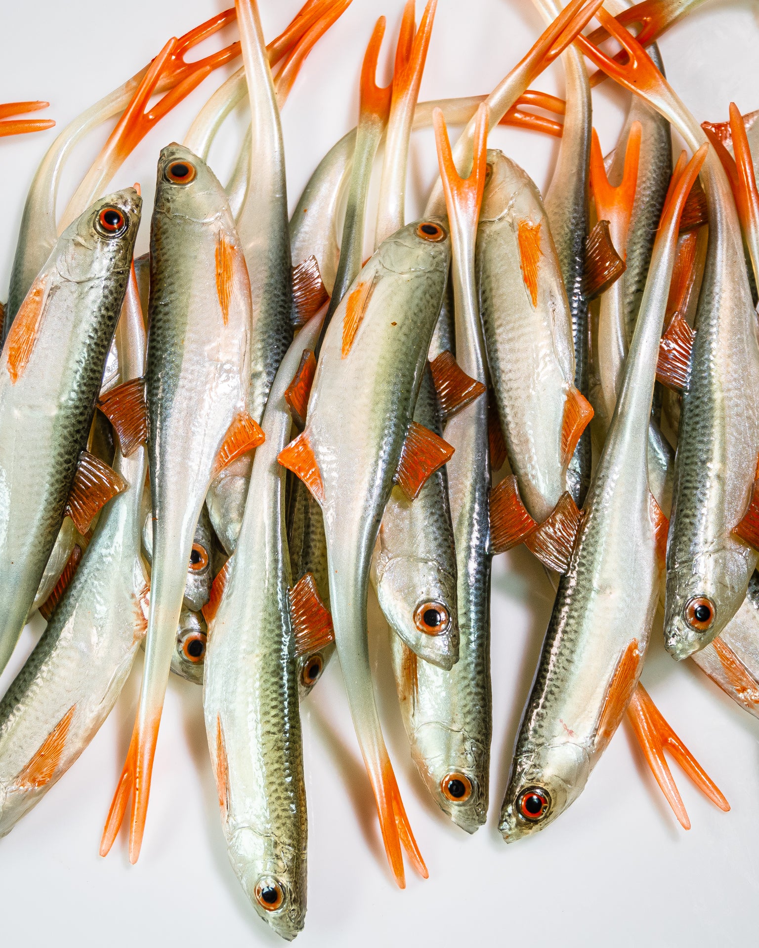 ANGRY LURES Bleak V-Tail cm. 15 NOO
