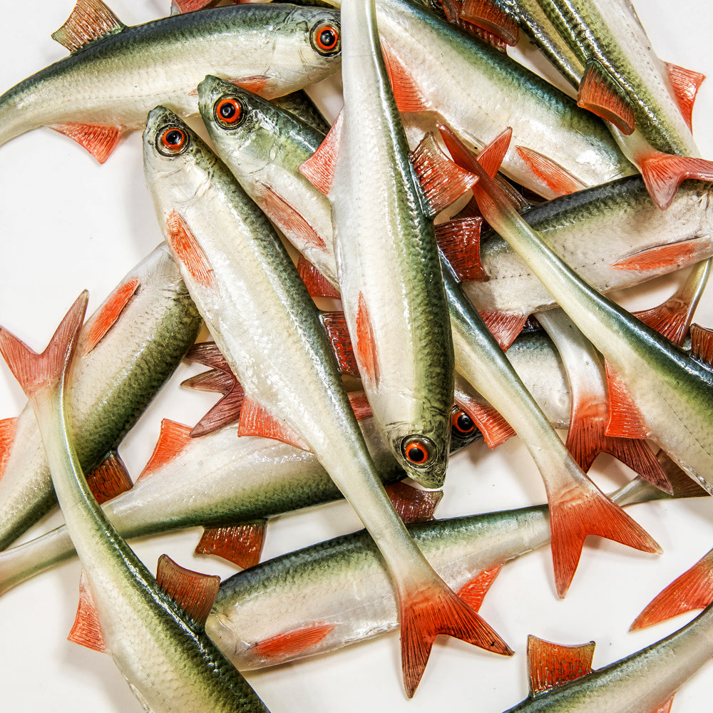 ANGRY LURES Bleak F-Tail cm. 15 NOO