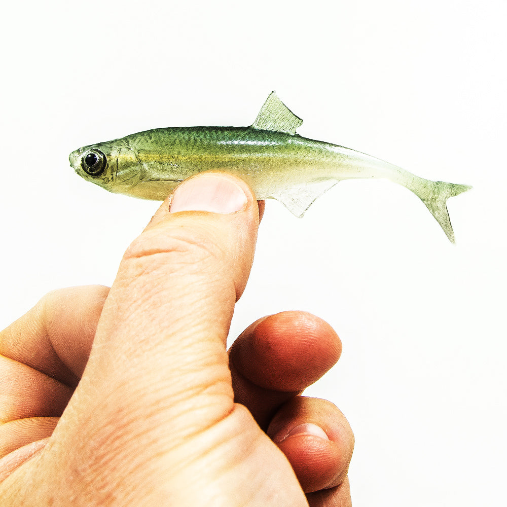ANGRY LURES  Bleak F-Tail cm.10 WGY