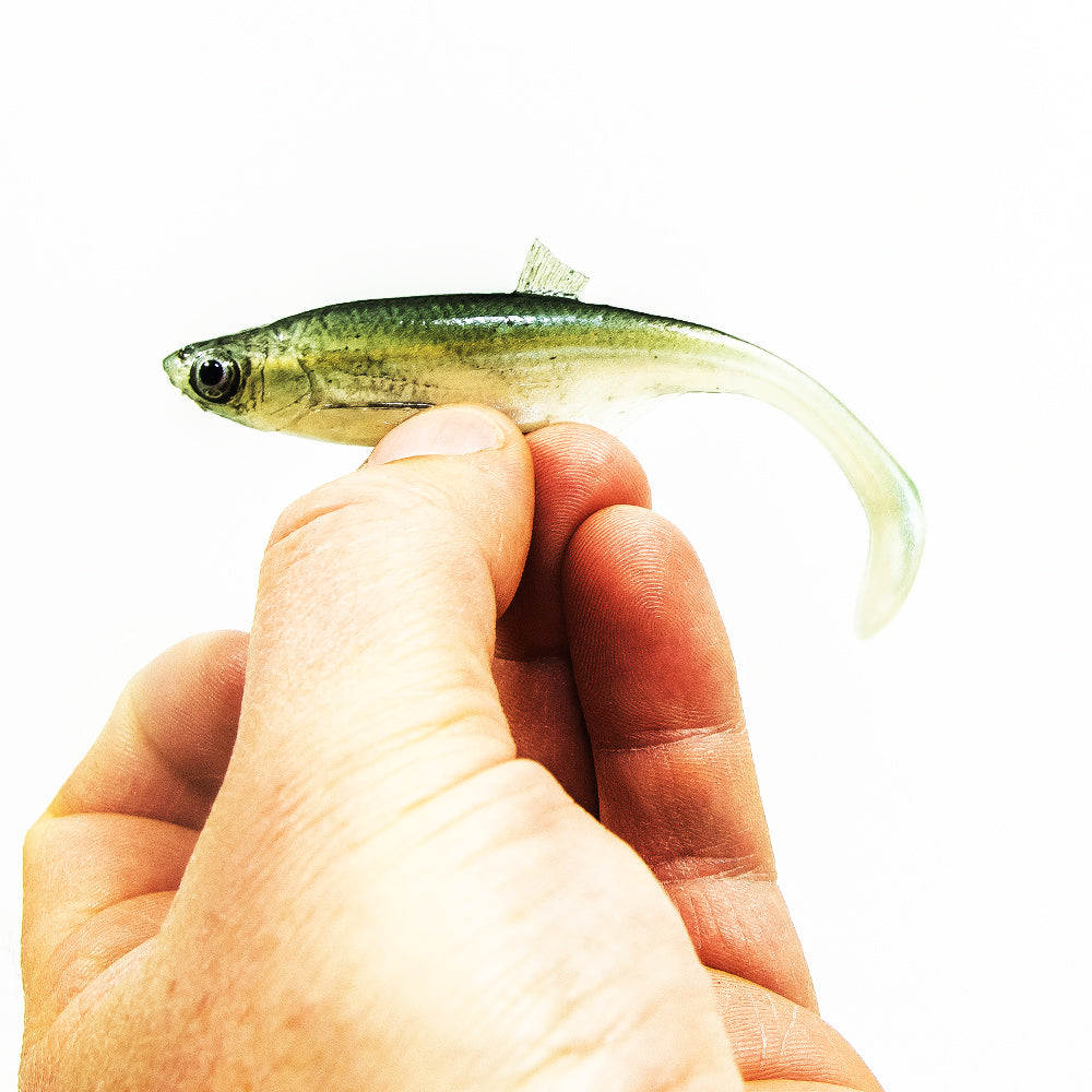 ANGRY LURES Bleak cm. 10 WGY