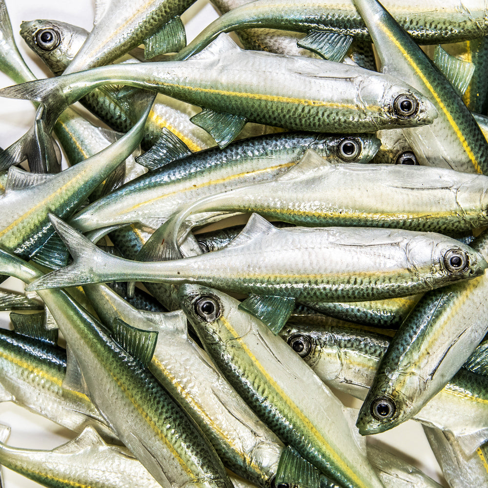 ANGRY LURES Bleak F-Tail cm. 12,5 WGY
