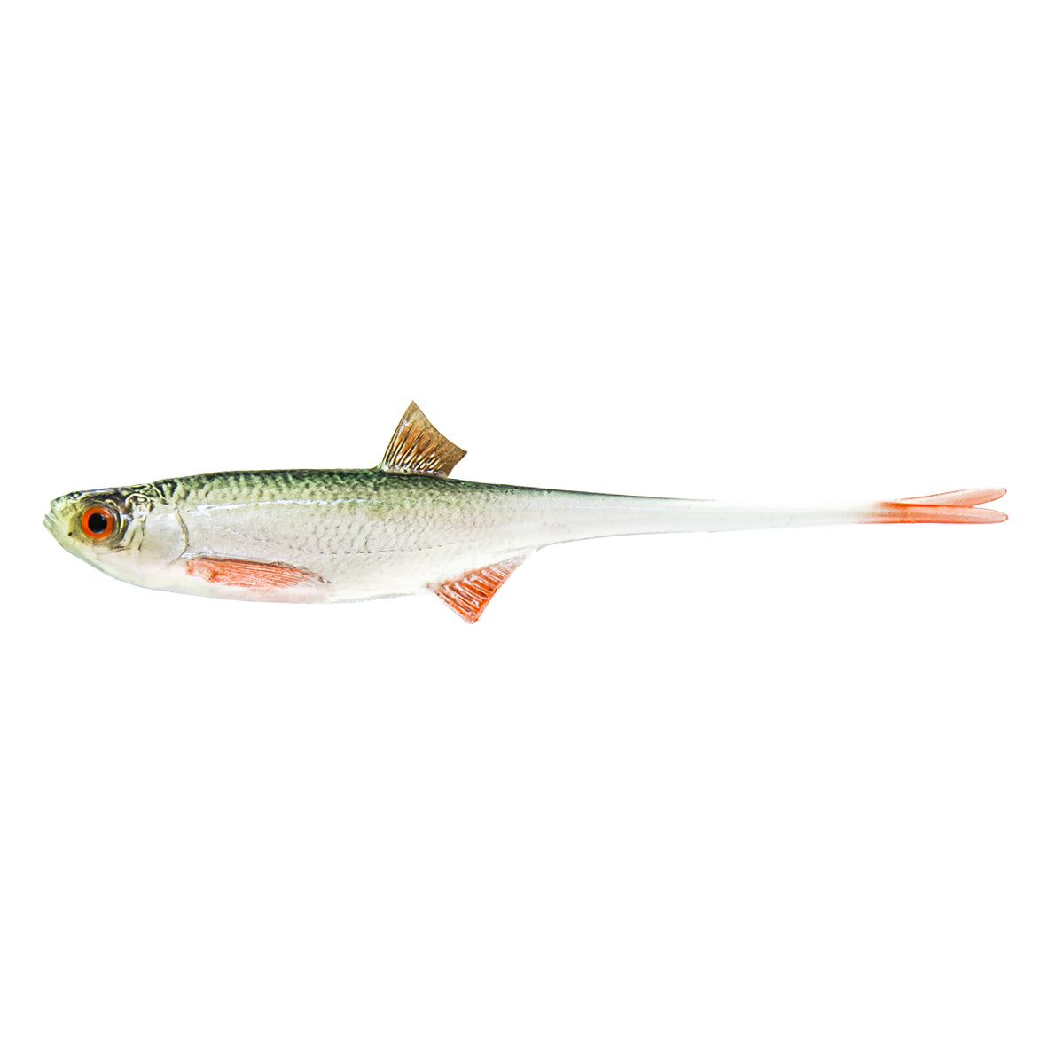 ANGRY LURES Bleak V-Tail cm. 12,5  NOO