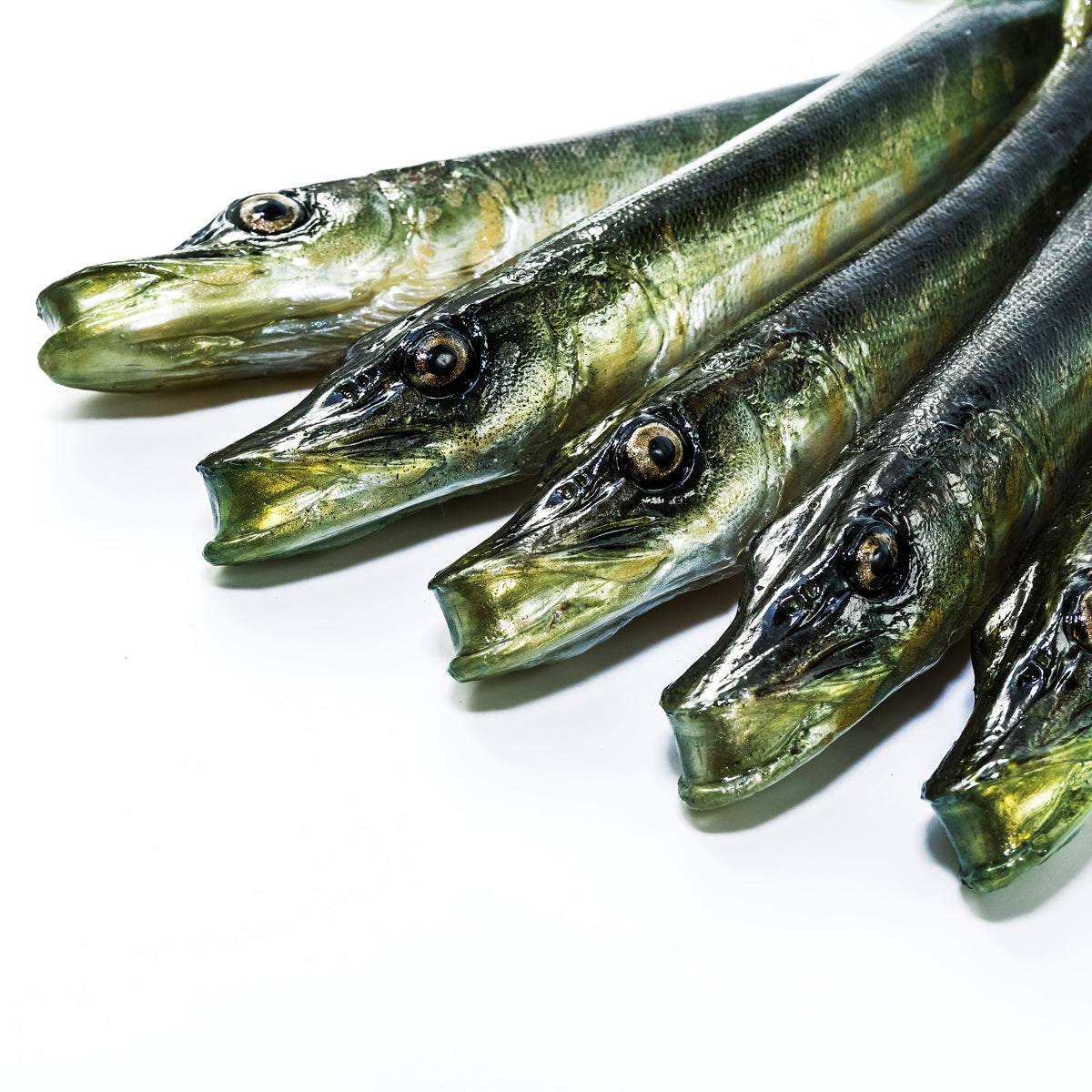ANGY LURES Pike cm. 25 NTA